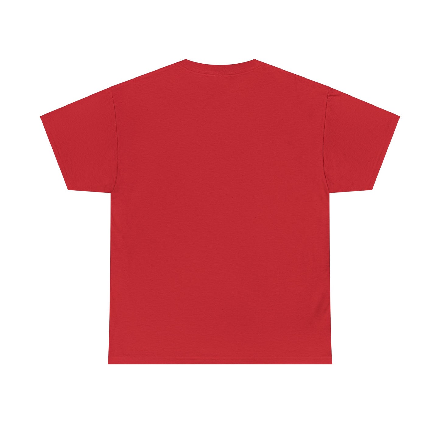 SJAFS The Right to Read is a Human Right Unisex Heavy Cotton Tee