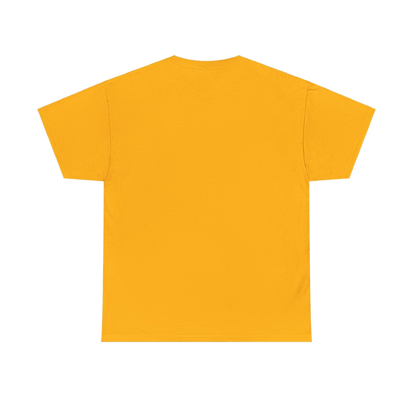 SJAFS The Right to Read is a Human Right Unisex Heavy Cotton Tee