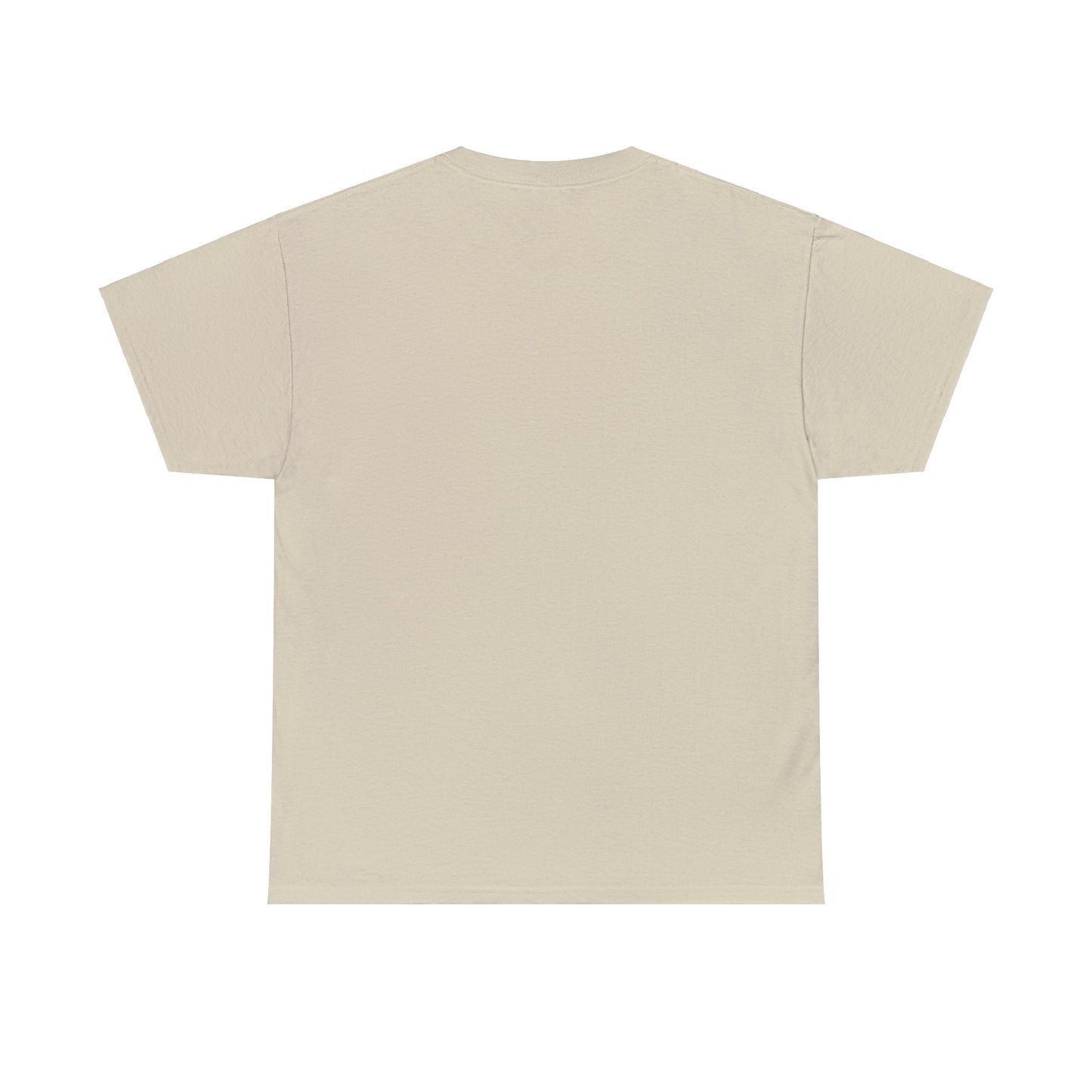 SJAFS The Right to Read is a Human Right Unisex Heavy Cotton Tee
