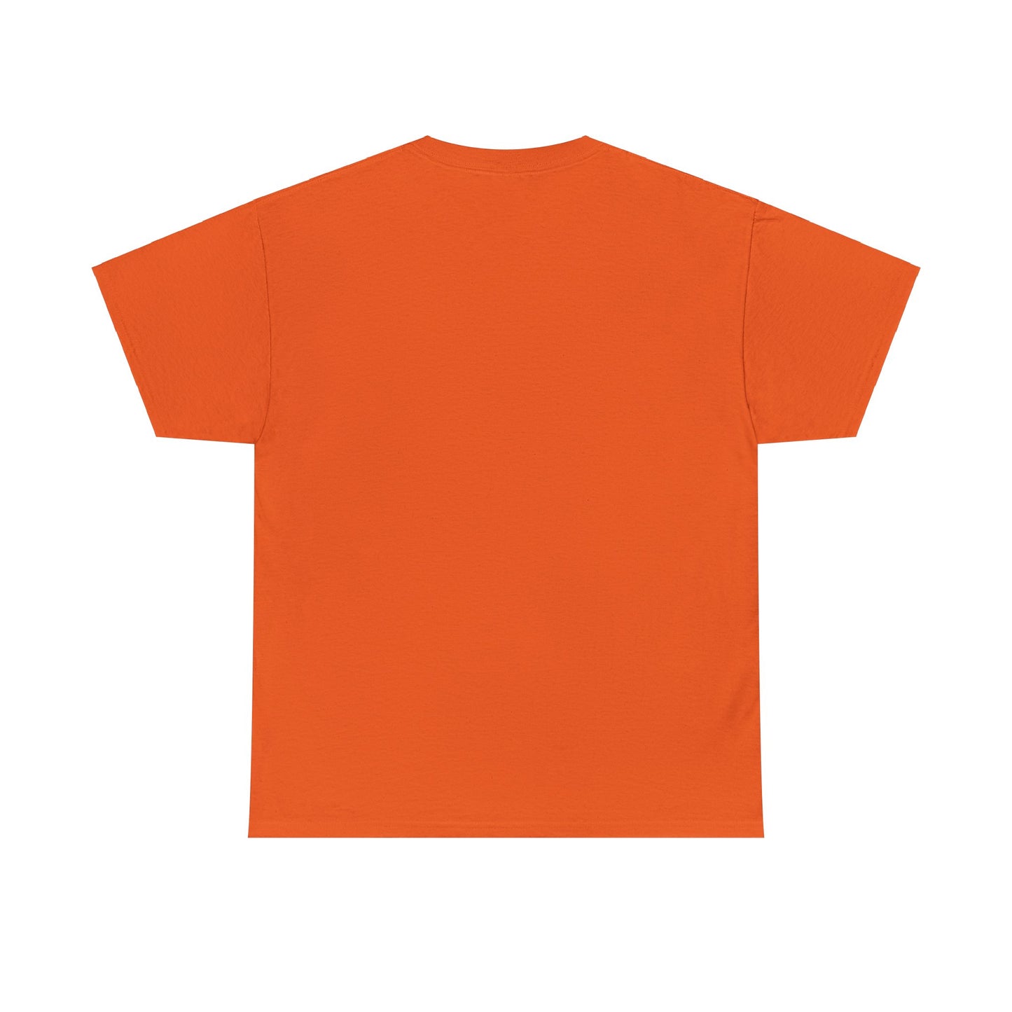 SJAFS The Right to Read is a Human Right Unisex Heavy Cotton Tee