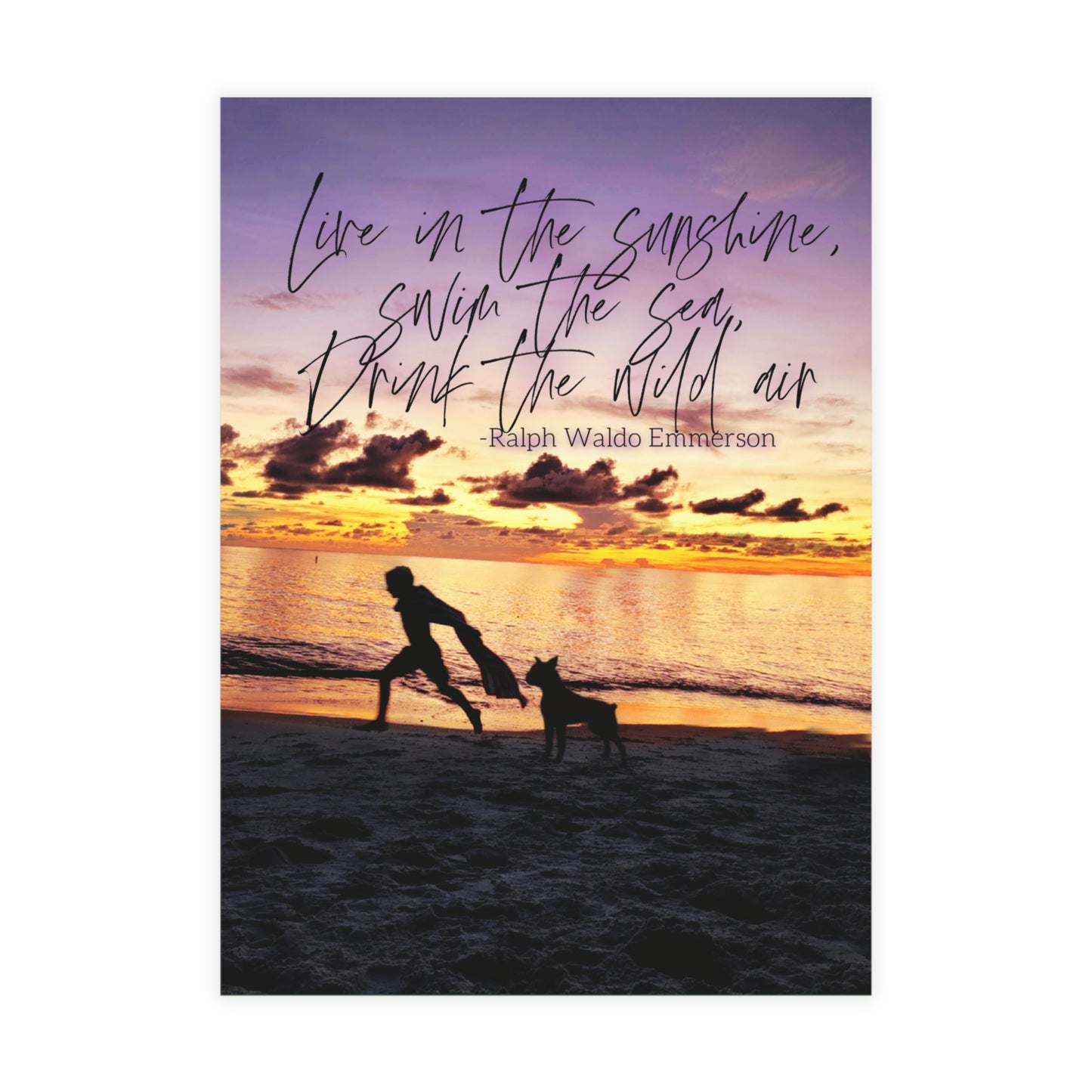 Live in the Sunshine Greeting Card Bundles (10, 30, 50 pcs)