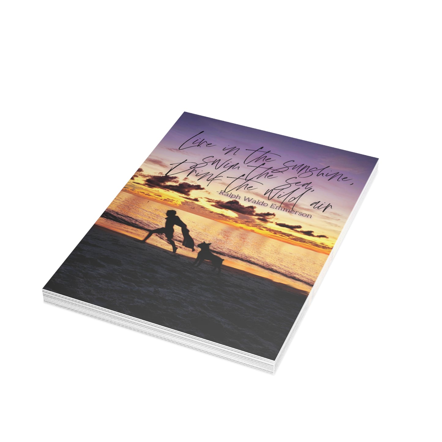 Live in the Sunshine Greeting Card Bundles (10, 30, 50 pcs)