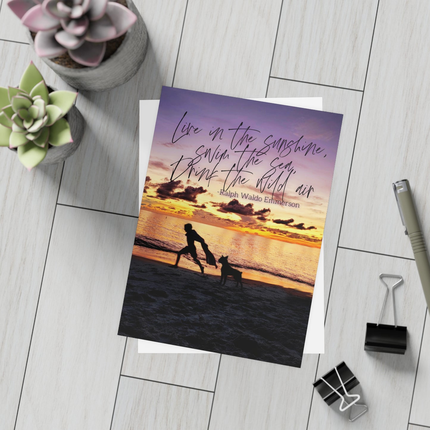 Live in the Sunshine Greeting Card Bundles (10, 30, 50 pcs)